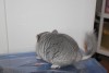 почти 2 мес.