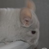 Маттео