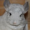 Луна