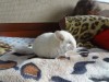 1 месяц