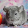 Кей