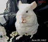 7 месяцев