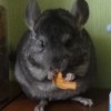 Лакки