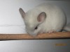 2 мес и неделя