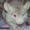 Марта