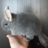 Нафаня