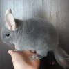 Нафаня