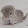  Кандагар