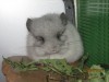 2 мес