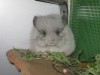 2 мес