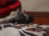 1 год