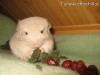 Балунишка