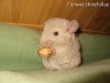 Балунишка