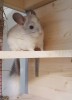 5 месяцев
