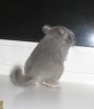 1 месяц 1 неделя