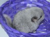 неделя + 6 дней)