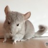 КАЙ