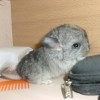 Харуко