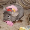Бусинка