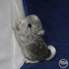Нотка