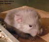 1 день