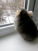 10 месяцев