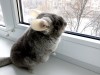 10 месяцев