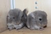 с братишкой 17 дней