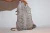 месяц и 20 дней