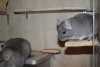 с Принцессой 10.02.17