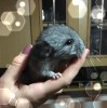 нам 2 дня