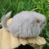 Оливер