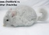2 мес