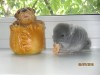 1 месяц 1 неделя