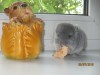 1 месяц 1 неделя
