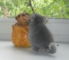 1 месяц 1 неделя