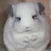 Нектарий