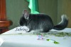 2февраля 2011