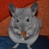 Милана
