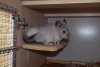 03.10.2016 5 месяцев