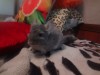 7 месяцев