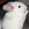 Загадочный Принц