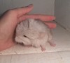 5 дней