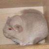 Миюки