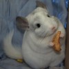 Ефиний