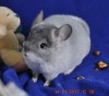 14.01.17