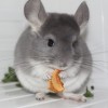 Неон