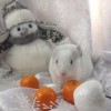 Ангел