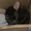Полночь