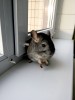   7 месяцев